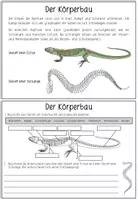 Vorschau - Stationenlernen - REPTILIEN - Lerntheke - Seite 3