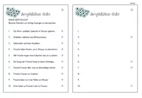 Vorschau - Arbeitsblätter - Amphibien Vertiefungsmaterial - Seite 2