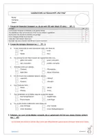 Vorschau - Test - Lesekontrollen zu "Der Chip" von M. Theisen - Seite 3
