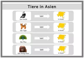 Vorschau - Fördermaterial/Inklusion - Tierwelt der Kontinente - Seite 3