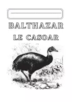 Aperçu - Feuilles d'exercices - Mon cahier d'activités Balthazar le casoar - Page 2