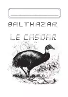 Aperçu - Feuilles d'exercices - Mon cahier d'activités Balthazar le casoar - Page 3