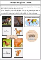 Vorschau - Spiele - Tiere aller Kontinente - Wort, Foto... - Deckblatt