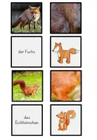 Vorschau - Spiele - Tiere aller Kontinente - Wort, Foto... - Seite 1
