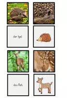 Vorschau - Spiele - Tiere aller Kontinente - Wort, Foto... - Seite 2