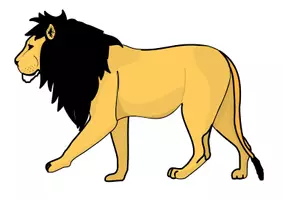 Vista previa - Tarjetas / Manipulativos - Características de los animales del zoo - material de pizarra/ Aleman/ Merkmale von Zootieren - Tafelmaterial (DaZ_DaF) - página 2