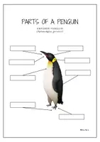 Vista previa - Hojas de trabajo - Paquete de material: Posters - Zoología Montessori Inglés. - página 1