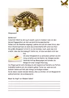 Vorschau - Stundenentwürfe - Rund um... Wespen Steckbrief Texte Aufgaben Spiel Lösung - Seite 3