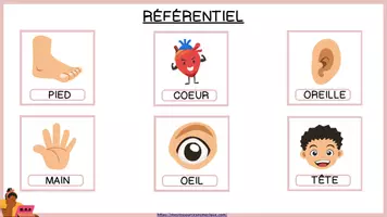 Aperçu - Jeux - LE VOCABULAIRE DU CORPS HUMAIN - ATELIER DE MANIPULATION + JEU DULOTO - Page 1