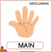 Aperçu - Jeux - LE VOCABULAIRE DU CORPS HUMAIN - ATELIER DE MANIPULATION + JEU DULOTO - Page 2
