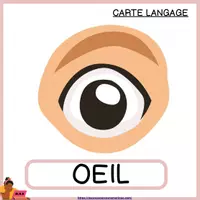 Aperçu - Jeux - LE VOCABULAIRE DU CORPS HUMAIN - ATELIER DE MANIPULATION + JEU DULOTO - Page 3