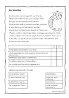 Vorschau - Arbeitsblätter - Lesetexte Waldtiere Schwierigkeitsstufe: einfach - Seite 3
