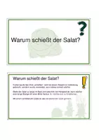 Vorschau - Präsentationen/Tafelbilder - 5-Minuten Pflanzenwelt - Seite 1