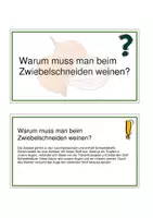 Vorschau - Präsentationen/Tafelbilder - 5-Minuten Pflanzenwelt - Seite 3