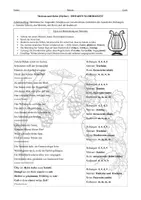 Vorschau - Arbeitsblätter - Herbstgedichte: Übungen Metrum, Reim und Kadenzen - Seite 2