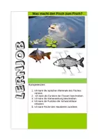 Vorschau - Arbeitsblätter - Lernjob Was macht den Fisch zum Fisch - Deckblatt