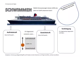 Vorschau - Arbeitsblätter - Schwimmen und Fliegen - Unterschiede & Gemeinsamkeiten - Seite 2