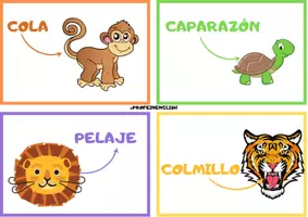 Vista previa - Tarjetas / Manipulativos - ¡Flashcards de las partes de los Animales! - página 3