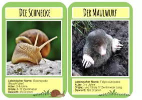 Vorschau - Stundenentwürfe - Tiere auf der Wiese - Materialpaket - Seite 3