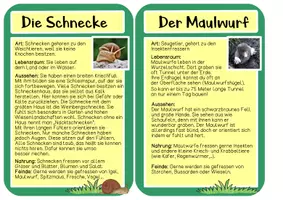 Vorschau - Stundenentwürfe - Tiere auf der Wiese - Wissenskarten und Plakatvorlagen - Seite 3