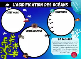 Aperçu - Apprentissages en autonomie - Affiche l'acidification des océans - Page 2