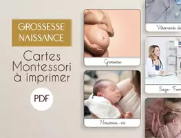 Aperçu - Apprentissages en autonomie - PDF Grossesse naissance cartes nomenclature Montessori à imprimer/ images classifiées - Page de couverture