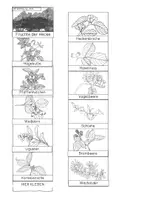 Vorschau - Stationenlernen - Leporello - Die Früchte der Hecke - Seite 2