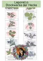 Vorschau - Stationenlernen - Leporello - Die Früchte der Hecke - Deckblatt