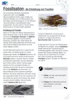 Vorschau - Arbeitsblätter - Evolution - Materialpaket 1+2 (Sek 1) - Seite 1