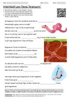 Vorschau - Arbeitsblätter - Lernposter + Arbeitsblatt "Regenwurm" + Onlineübung & MP3 + Mindmap + Infografik - Seite 1