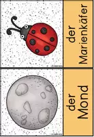 Vorschau - Fördermaterial/Inklusion - Buchstabe M/m - Bildkarten und Wortkarten (Anlaut - Inlaut - Auslaut) - Seite 1