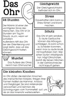 Vorschau - Arbeitsblätter - Das Ohr - Materialsammlung - Hören - Seite 1