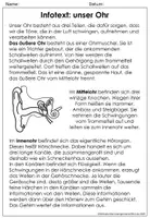 Vorschau - Arbeitsblätter - Das Ohr - Materialsammlung - Hören - Seite 2