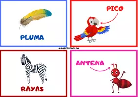 Aperçu - Cartes / Images - Flashcards des parties d'animaux en espagnol. - Page 3