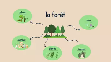 Aperçu - Cartes / Images - Fiche concept et cartes à catégoriser : la forêt. - Page 1