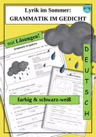 Vorschau - Arbeitsblätter - Lyrik im Sommer: Grammatik im Gedicht - Deckblatt