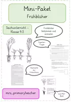 Vorschau - Arbeitsblätter - Mini-Paket Frühblüher, Sachunterricht Klasse 1/2 - Deckblatt