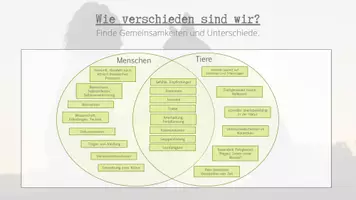 Vorschau - Arbeitsblätter - Mensch und Tier - Unterschiede und Tierschutzgesetze - Seite 3