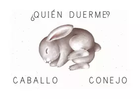 Vista previa - Unidades / Secuencias / Situaciones de Aprendizaje - Los animales: ¿Quién duerme? - página 3