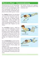 Vorschau - Arbeitsblätter - Schwimmen lernen 12: Brustschwimmen, eBook (nur digital) - Seite 3