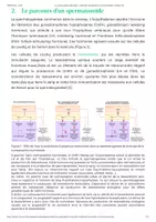 Aperçu - Texte - La contraception masculine, méthodes hormonales et non hormonales - Planet-Vie - Page 2