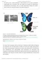 Aperçu - Texte - Les iridoplastes, ces chloroplastes iridescents - Planet-Vie - Page 2