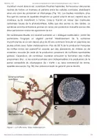 Aperçu - Texte - Les secrets de la reproduction de la Truffe du Périgord bientôt percés à jour ? - Planet Vie - Page 1