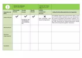 Vorschau - Arbeitsblätter - EF Biologie: Sammeltabelle - Organisation, Struktur und Funktion verschiedener Zellarten und ihrer Organellen - Seite 1