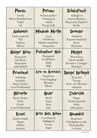 Vorschau - Spiele - Harry Potter - Spielkarten "Wörter erklären" - Seite 3