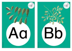 Vorschau - Bildkarten - Koalaklasse Alphabet1 - Seite 3