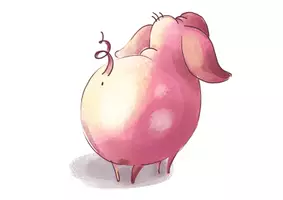 Vorschau - Arbeitsblätter - Begleitmaterial zum Buch: Schweini Schwein (zur Lauteinführung von Sch) - Seite 2
