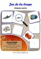 Aperçu - Apprentissages en autonomie - Jeu de la loupe - Animaux marins - Page de couverture