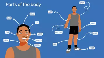 Vista previa - Presentaciones - Parts of the body - beginners - Portada