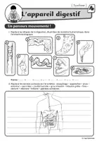 Aperçu - Feuilles d'exercices - Le corps humain : l'appareil digestif - Page 1